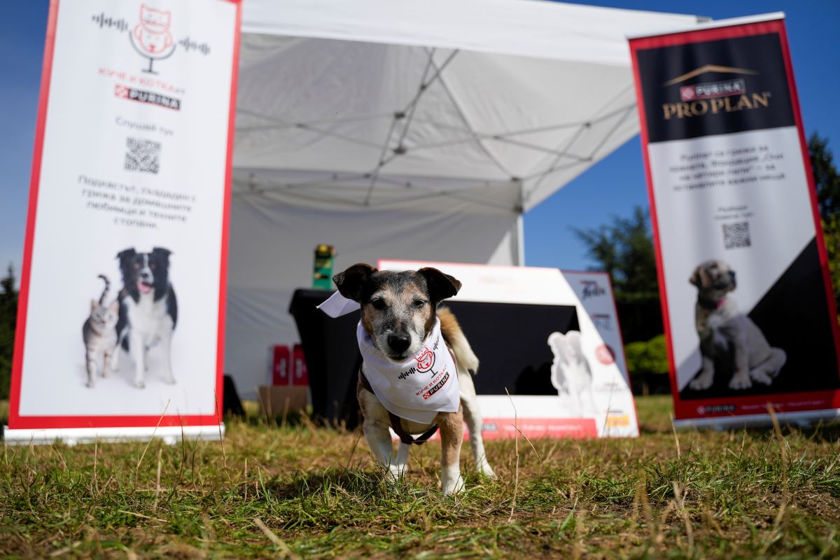 Purina отново се включва в „Нестле за Живей Активно!“ на 14 септември с важна социална кауза